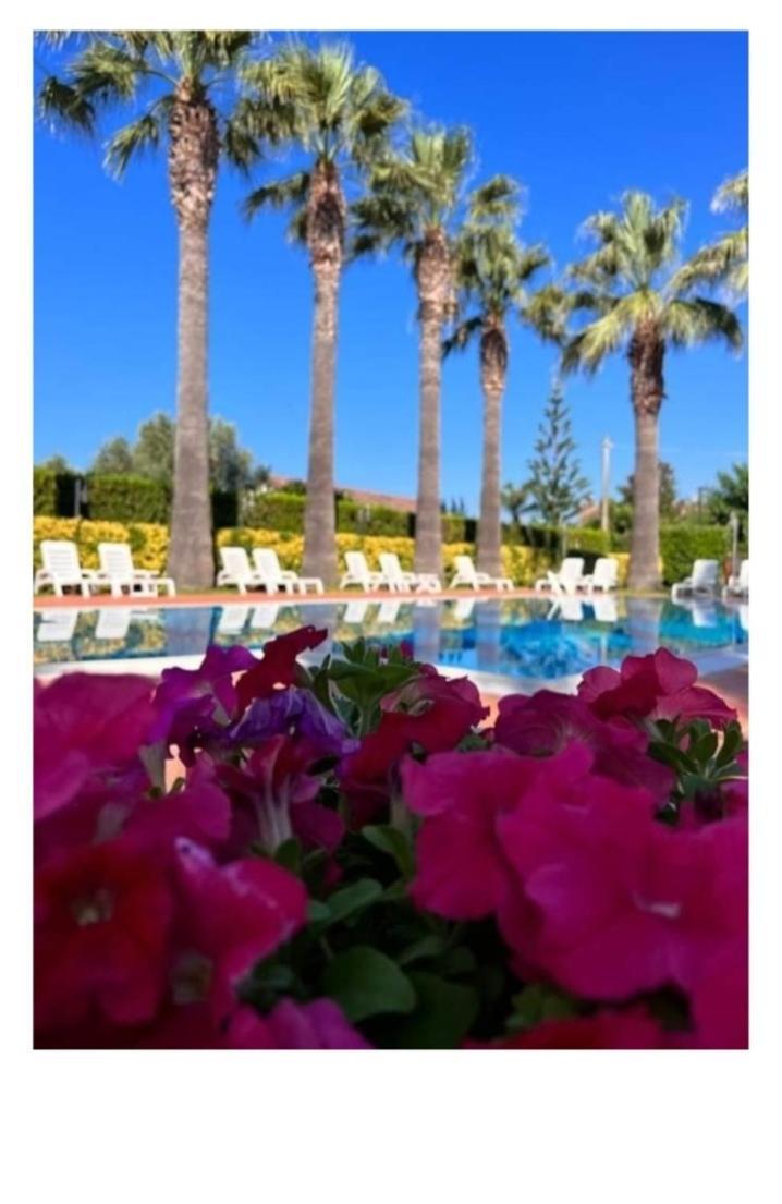Aparthotel Laura & 3*